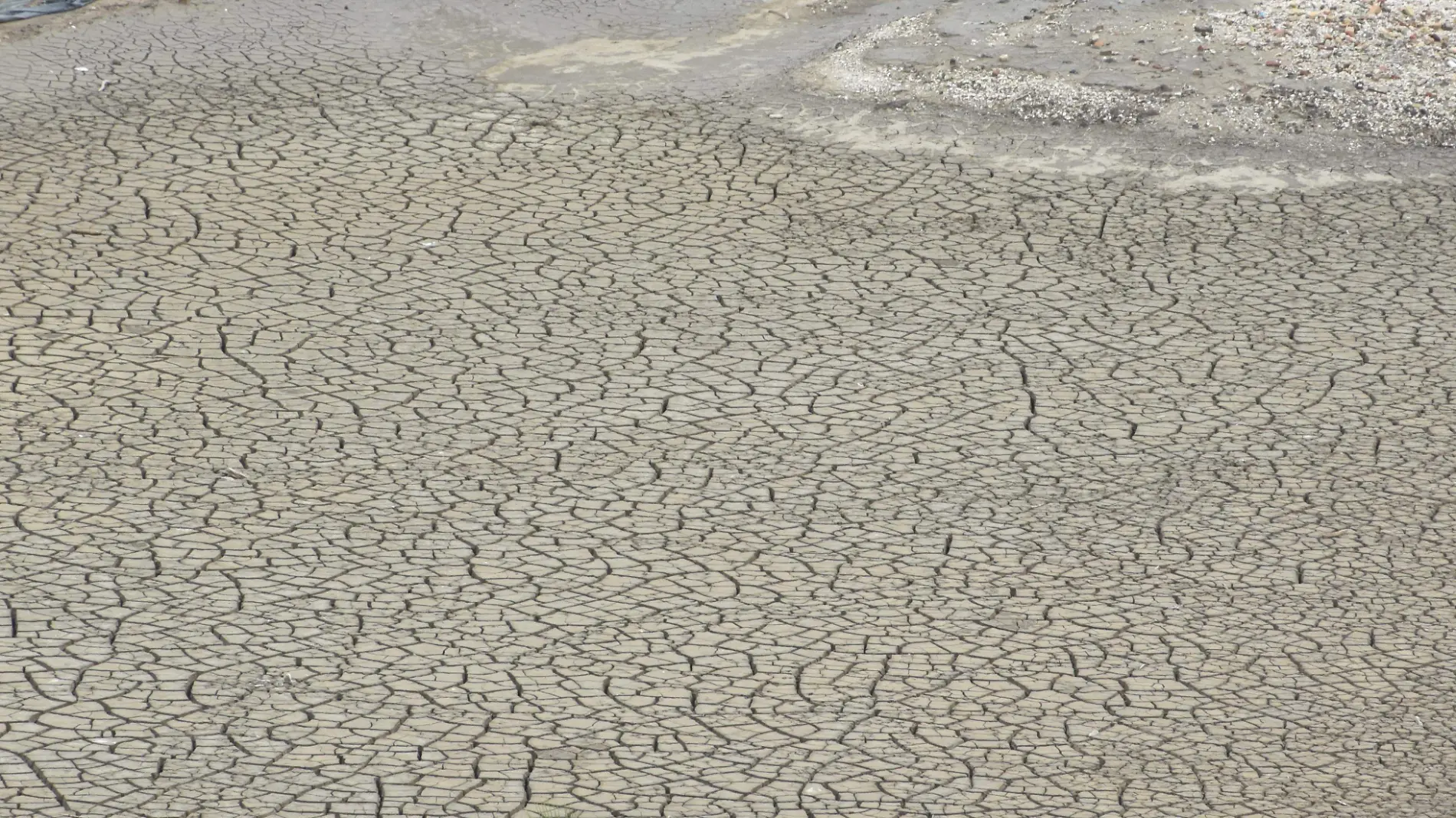 Padecen 10 municipios de la frontera grave falta de agua José Luis Tapia